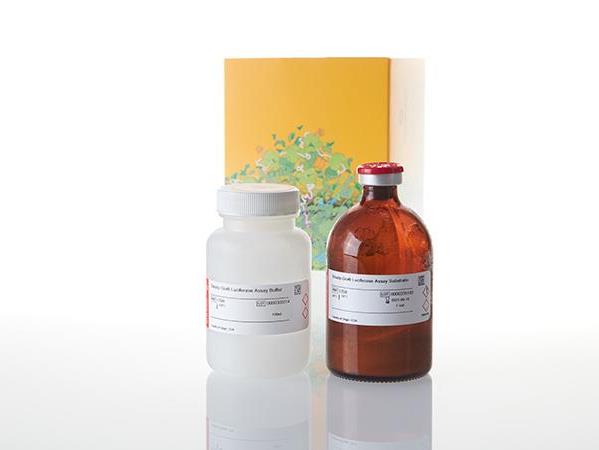 Steady-Glo® Luciferase Assay System（E2520）