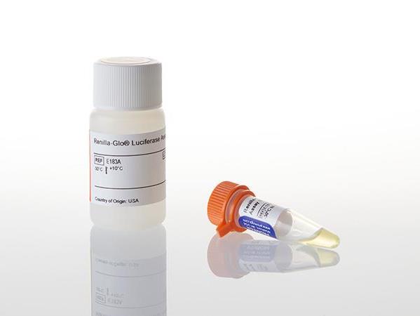 Renilla-Glo® Luciferase Assay System（E2710）