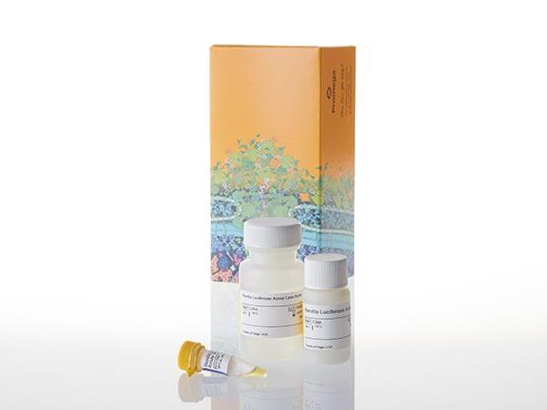 Renilla Luciferase Assay System（E2810）