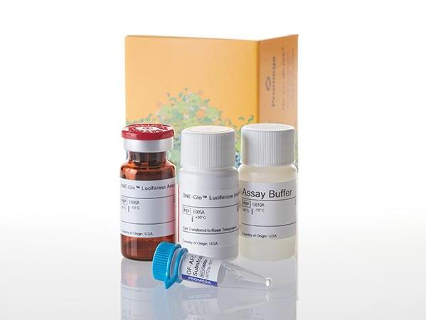 ONE-Glo™ + Tox Luciferase and Cell Viability Assay（E7120）