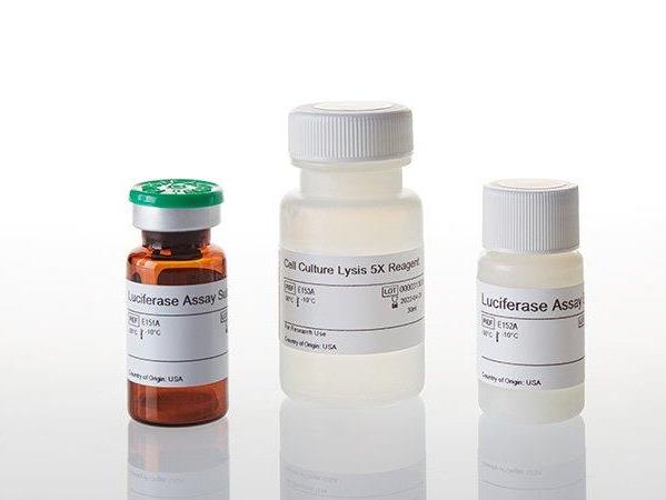 Luciferase Assay System Freezer Pack（E4530）