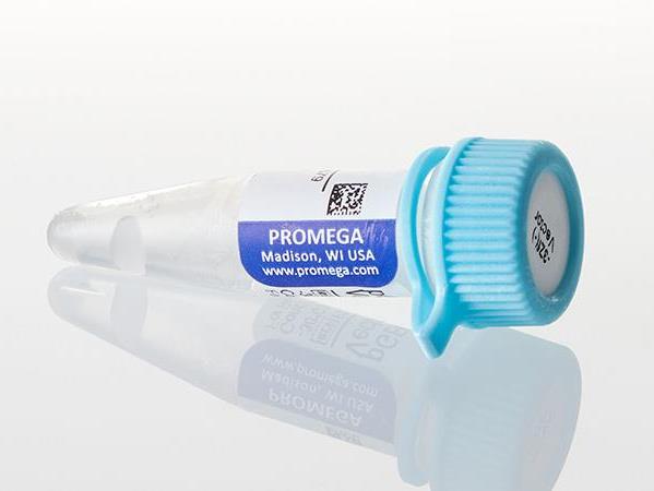 pGEM®-3Zf(+) Vector（P2271）