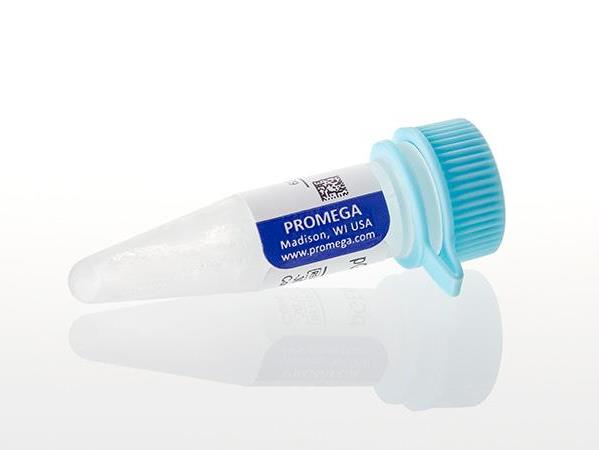 pGEM®-3Z Vector（P2151）