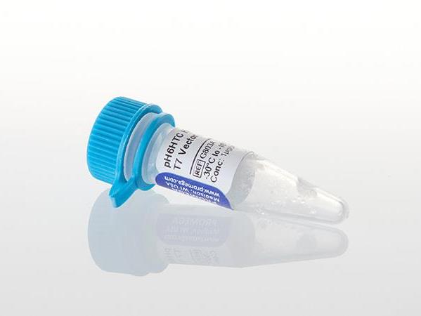 pH6HTC His6HaloTag® T7 Vector（G8031）