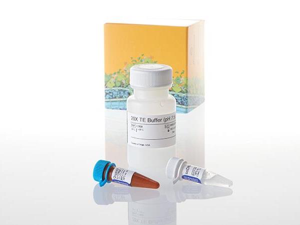 QuantiFluor® ssDNA System（E3190）