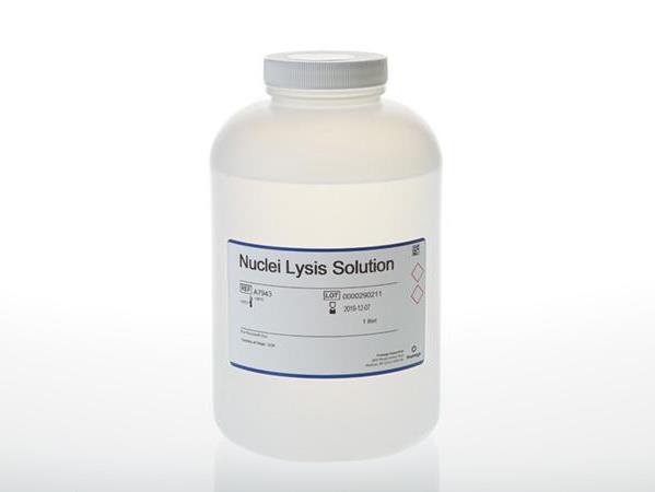 Nuclei Lysis Solution（A7943）