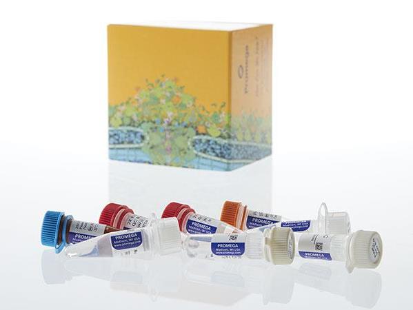 ProNex® DNA QC Assay Calibration Kit（NG1001）