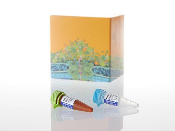 RealTime-Glo™ MT Cell Viability Assay（G9711）