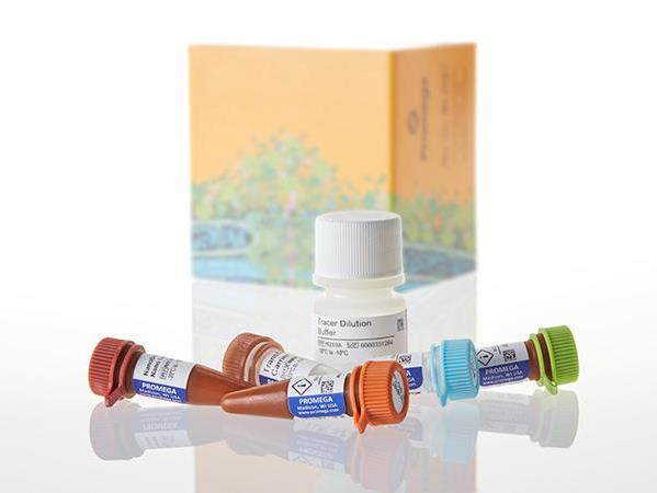 NanoBRET™ TE Intracellular BET BRD Assay（N2131）