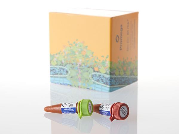 NanoBRET™ TE HDAC DNA Bundle（N2120）