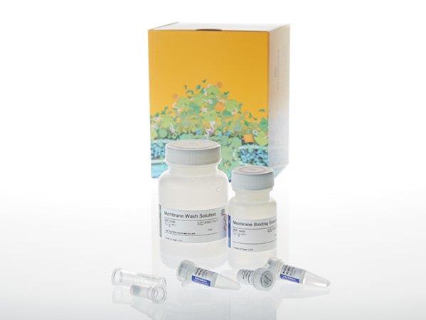 Wizard® SV Gel and PCR Clean-Up System and x-tracta™ Gel Extractor Bundle（A9284）