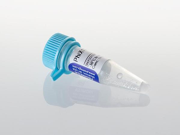 φX174, RF DNA（D1531）