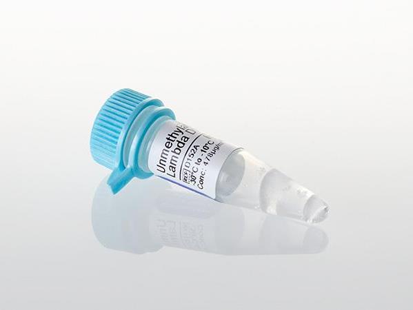 Unmethylated Lambda DNA（D1521）