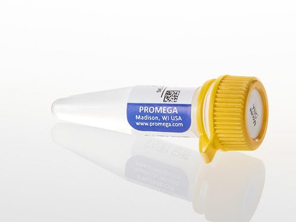 Mouse Genomic DNA（G3091）