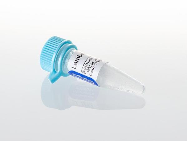 Lambda DNA（D1501）