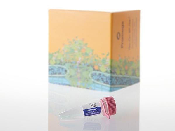 Human Genomic DNA（G3041）