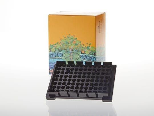 Heat Block Adapter（A2661）