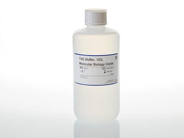 TAE Buffer, 10X, Molecular Biology Grade（V4271）
