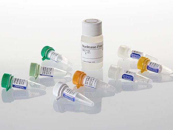 Reverse Transcription System（A3500）