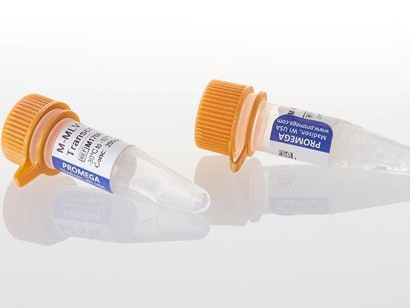 rProteinase K Solution AOF（A5055）