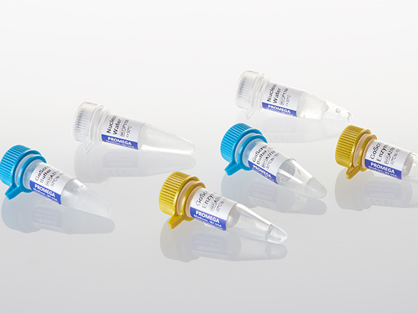 GoScript™ Reverse Transcription Mix, Oligo(dT)（A2790促）