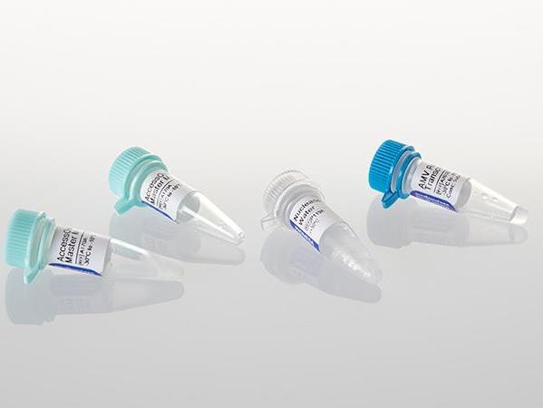 AccessQuick™ RT-PCR System（A1702）