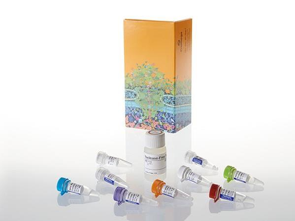 Access RT-PCR Introductory System（A1260）