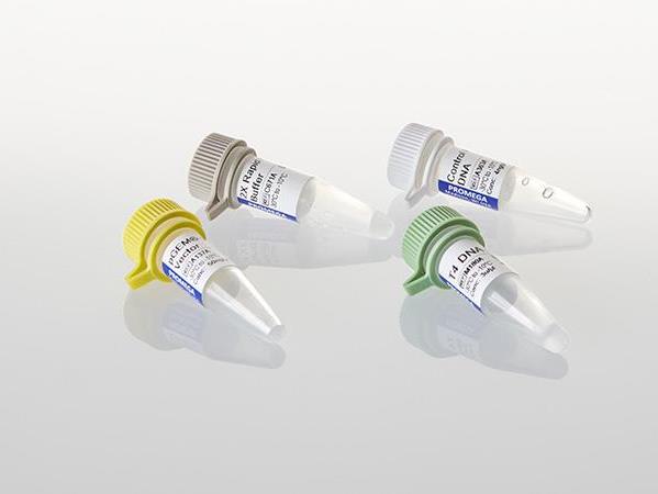 pGEM®-T Vector System I（A3600）