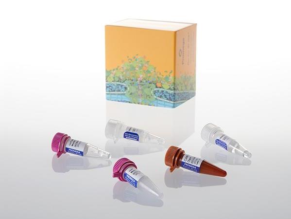 GoTaq® Probe 2-Step RT-qPCR System（A6110）