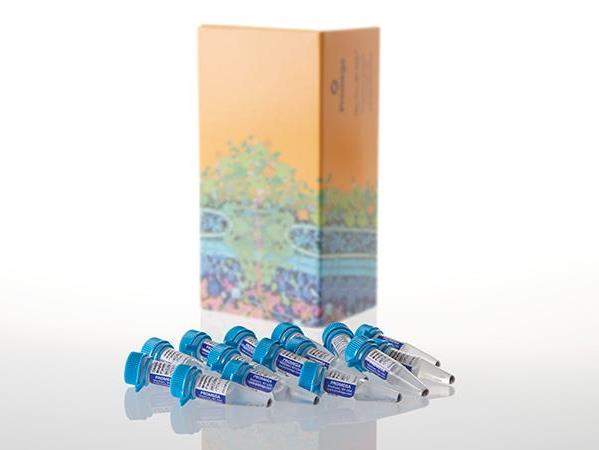 Streptavidin MagneSphere® Paramagnetic Particles（Z5481）