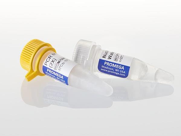 PCR Master Mix（M7502）