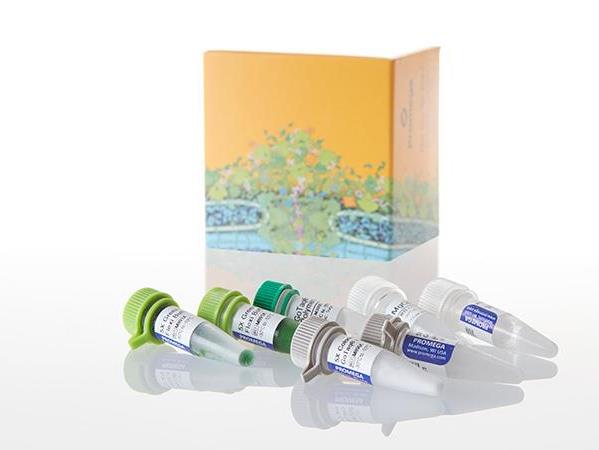 GoTaq® PCR Core System I（M7660）