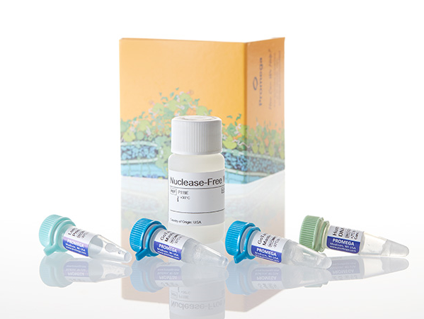 GoTaq® Long PCR Master Mix（M4021）