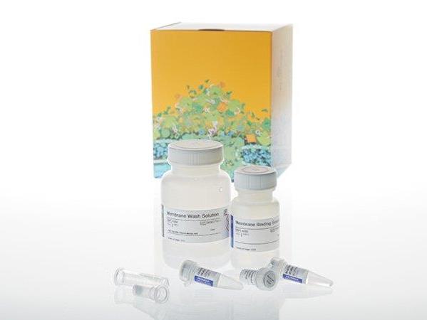 Wizard® SV Gel and PCR Clean-Up Start-Up Kit, 220V Electrical (500 preps, manifold and free vacuum pump) Note: A1331 X 1, A6722 X 1,A7231 X 1,A9282 X 2（A6752）