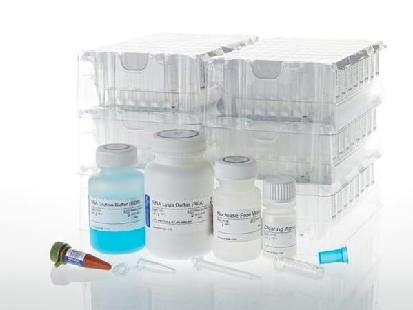 Maxwell® 16 Tissue LEV Total RNA Puri（AS1220）