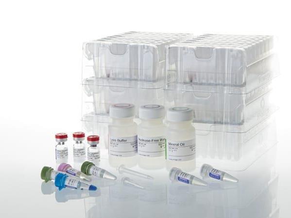 Maxwell® 16 LEV RNA FFPE Kit（AS1260）