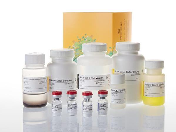 MagneSil® Total RNA mini-Isolation System（Z3351）