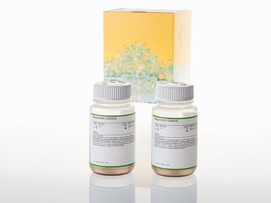 MagneSil® GREEN（A8231）