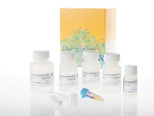 Wizard® Plus SV Minipreps Start-Up Kit, 220V Electrical (750 preps, manifold and free vacuum pump) Note: A1331 X 1, A1470 X 3, A6722 X 1, A7231 X 1（A6762）