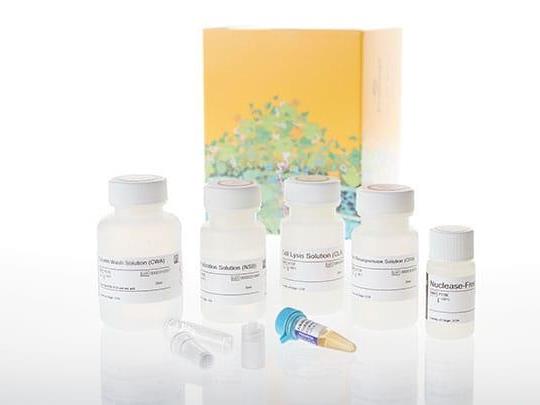 Wizard® Plus SV Minipreps DNA Purification System + Vacuum Adapters（A1470）