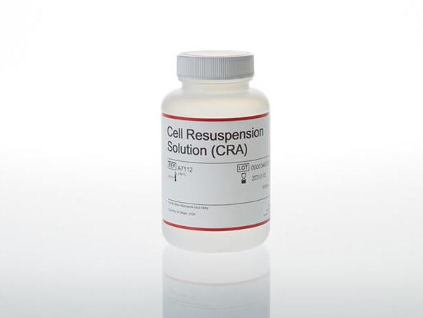 ADP-Glo™ Assay + EGFR (d746-750 T790M L858R) Kinase Enzyme System（A7113）