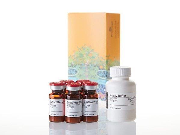 CytoTox 96® Non-Radioactive Cytotoxicity Assay（G1780）