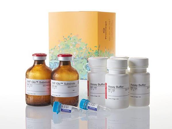 MultiTox-Glo Multiplex Cytotoxicity Assay（G9271）