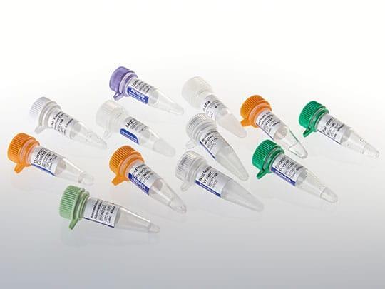 ImProm-II™ Reverse Transcription System（A3800）