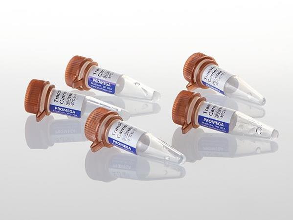 Transfection Carrier DNA（E4881）