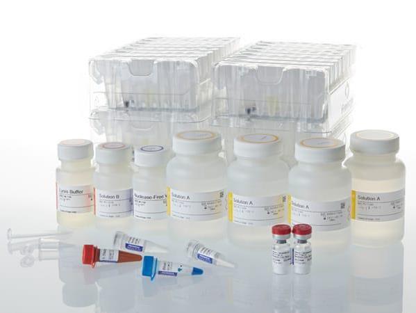 Maxwell® CSC RNA Blood Kit（AS1410）