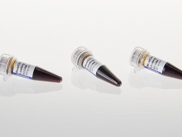 Blue/Orange Loading Dye, 6X（G1881）