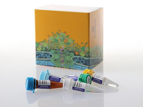 ProDye™ Terminator Sequencing System（CR4310）