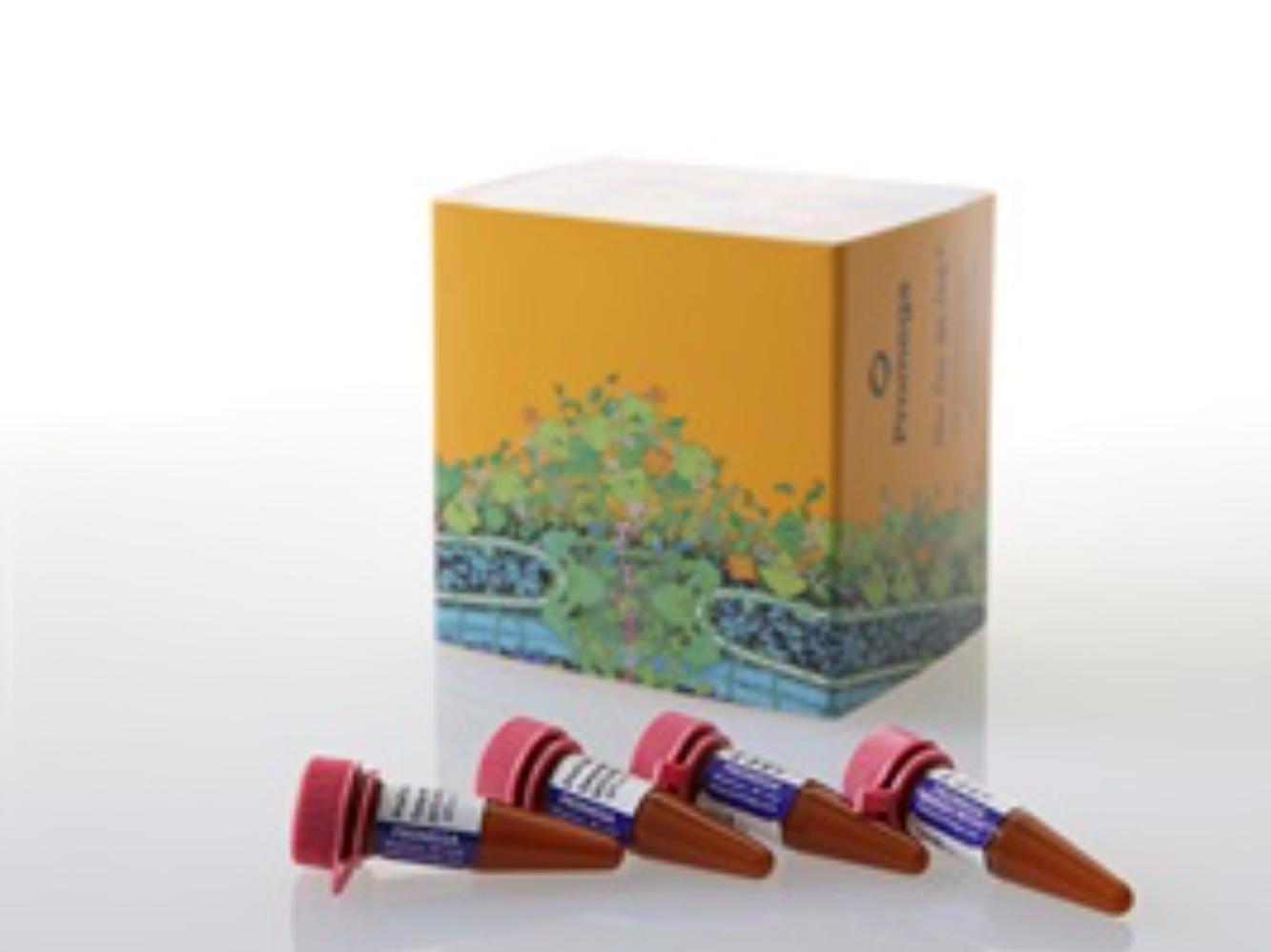 ProDye™ Sanger Sequencing Standard（CR4604）