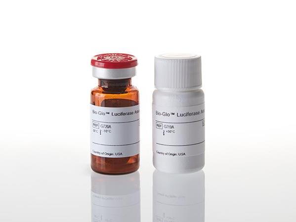 ONE-Glo™ Luciferase Assay System（E6130）